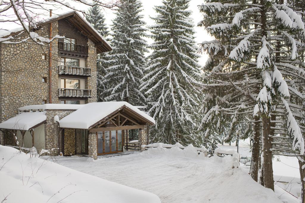 Ana Hotels Bradul Poiana Brasov Exterior foto